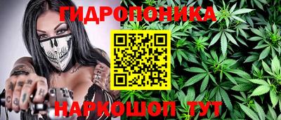 амф Лесосибирск