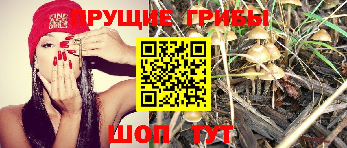 Галлюциногенные грибы ЛСД Гурьевск